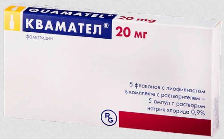 Kvamatel para perros