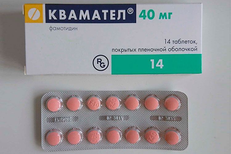 Kvamatel para perros