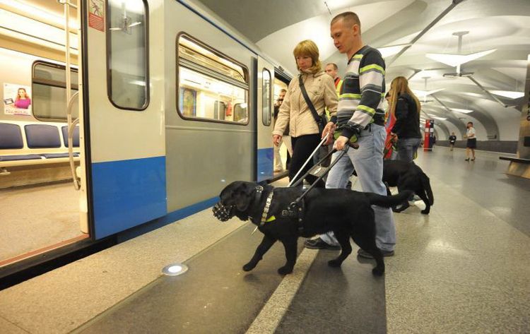 El perro entra al metro