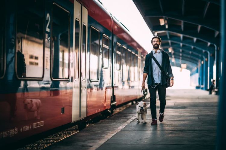 Perro con su dueño en el metro