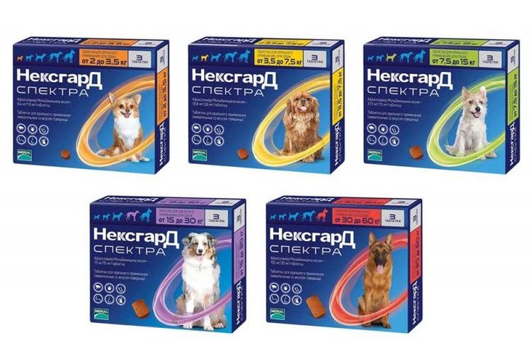 Nexgard Spectra para perros