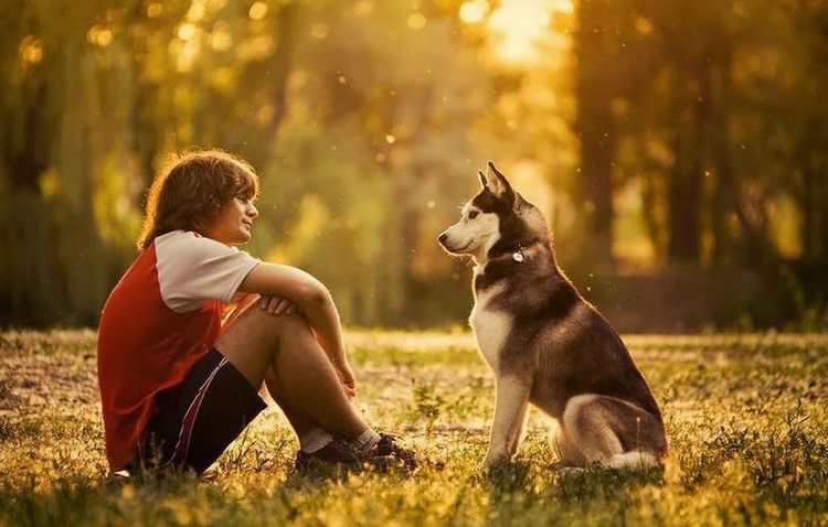 Perro paseando con su dueño