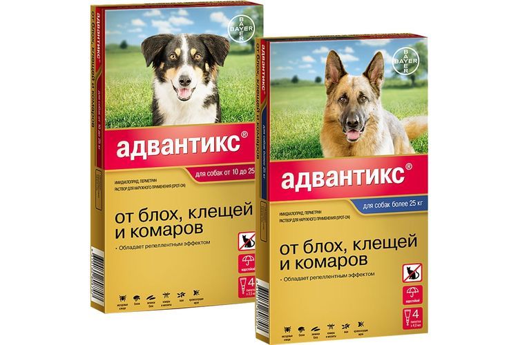Advantix contra pulgas y garrapatas