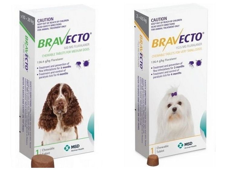 Bravecto contra pulgas y garrapatas