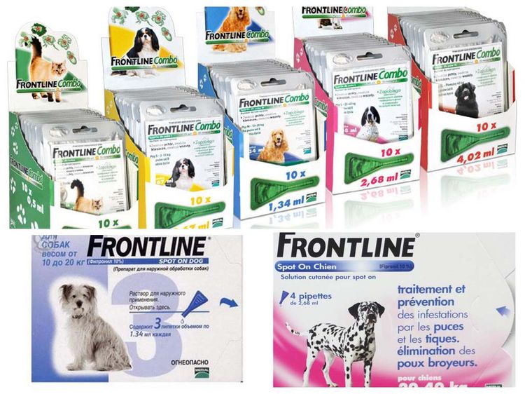 Frontline Combo contra pulgas y garrapatas