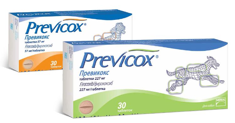 Medicamento Previcox