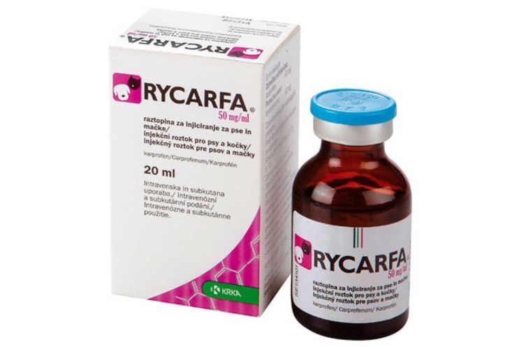 Rikarfa para perros