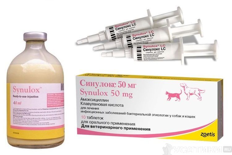 Formas de presentación del medicamento Sinulox
