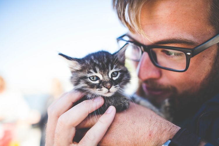 Gatito y su dueño
