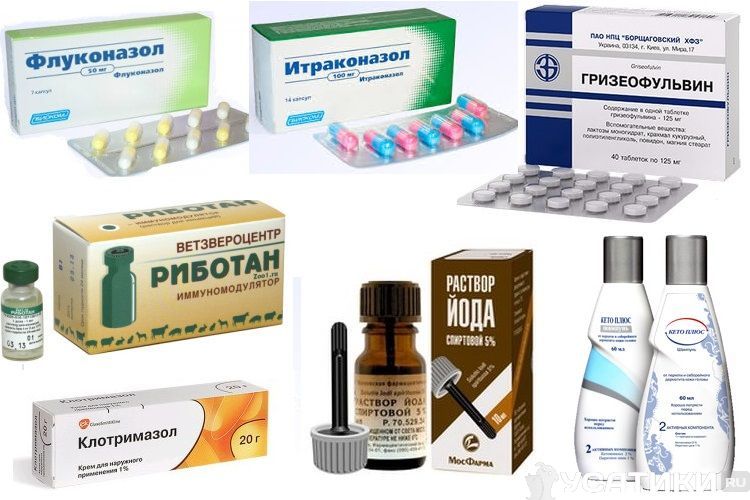 Medicamentos para la tiña