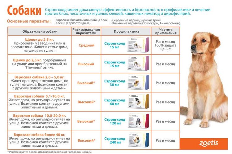 Dosificación de Stronghold según el tamaño del perro