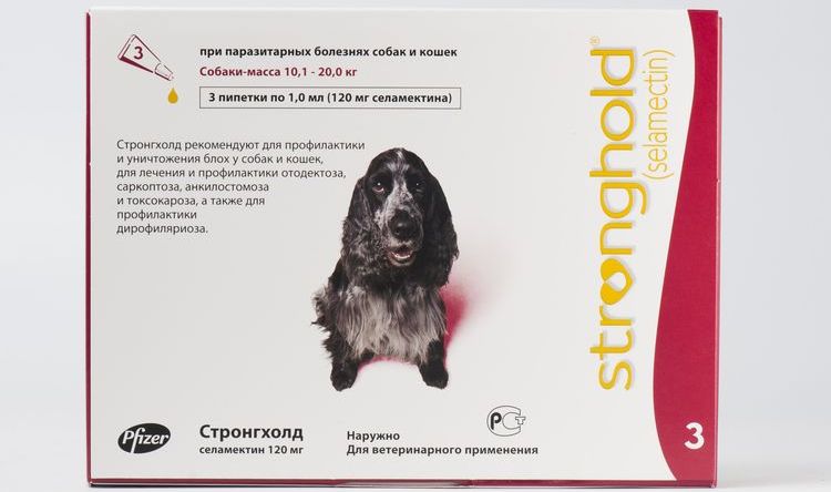 Stronghold para perros