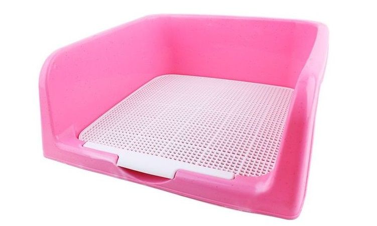Bandeja para perros con colector