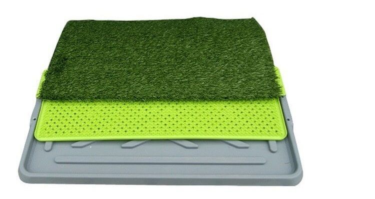 Baño para perros con césped artificial