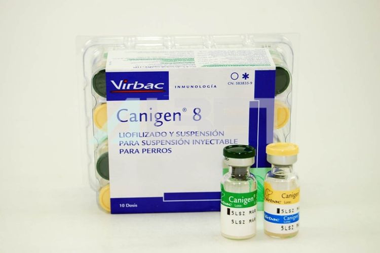 Vacuna para perros Canigen