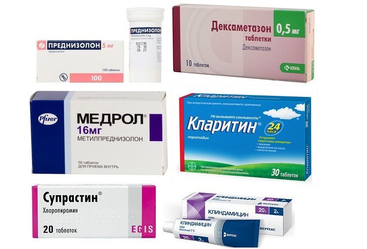 Medicamentos para el tratamiento de la dermatitis atópica en perros