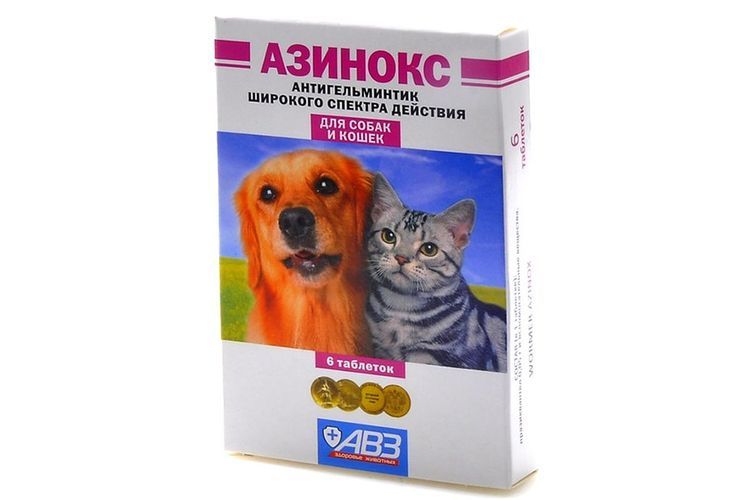 Azinox para gatos
