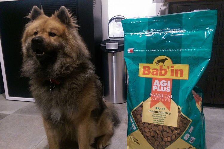 Babin - pienso para perros