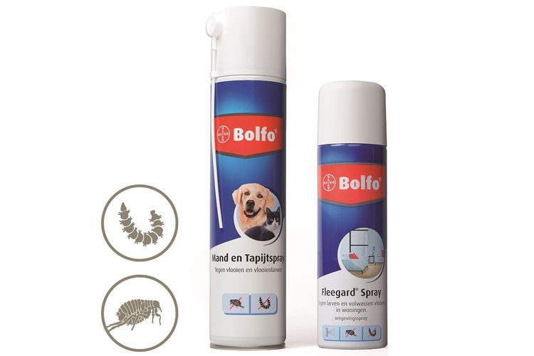 Bolfo-Spray für Hunde