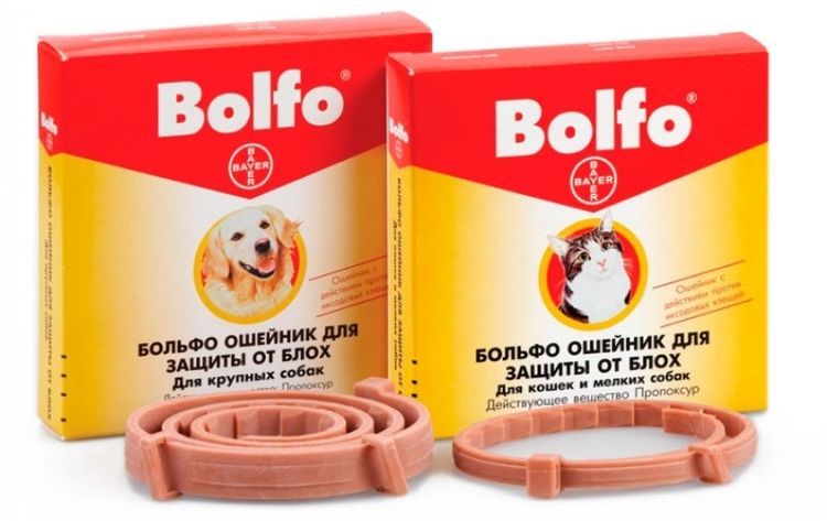 Bolfo-Halsband für Hunde