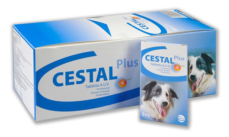 Zestal para perros