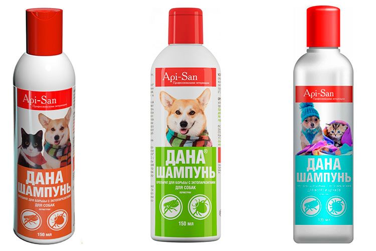 Champú para perros Dana
