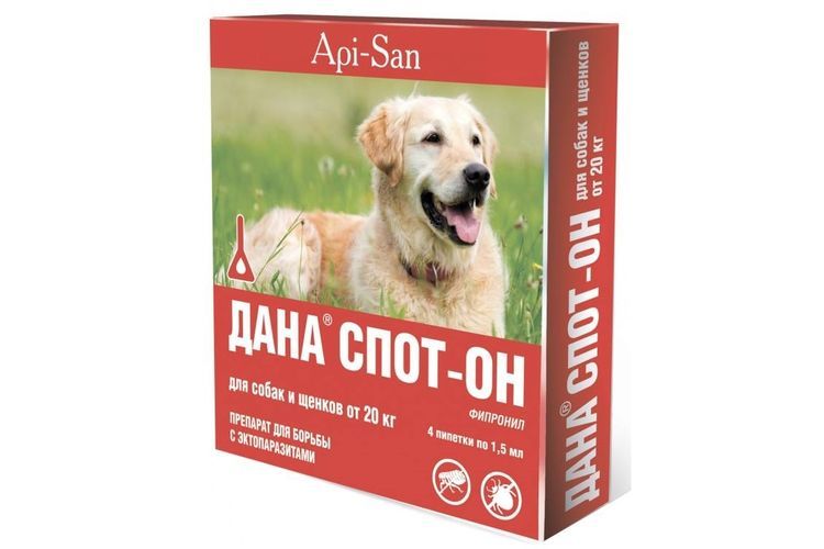 Dana para perros