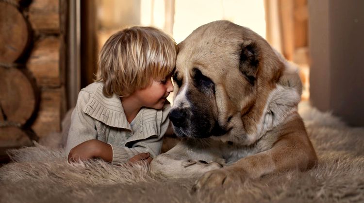 Niño y perro