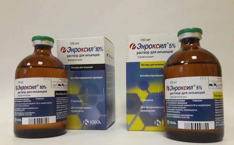 Enroxil para perros