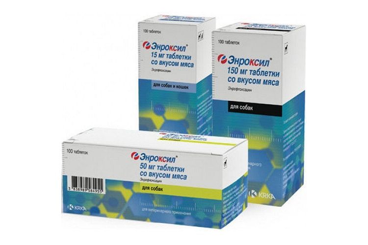 Enroxil para perros