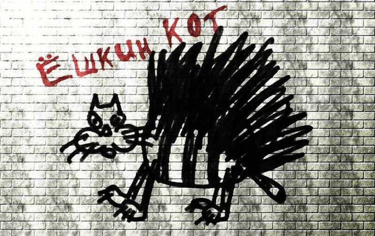 Gato Yoshkin