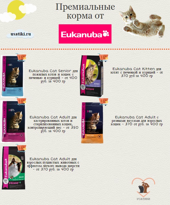 Eukanuba para gatos, los mejores piensos