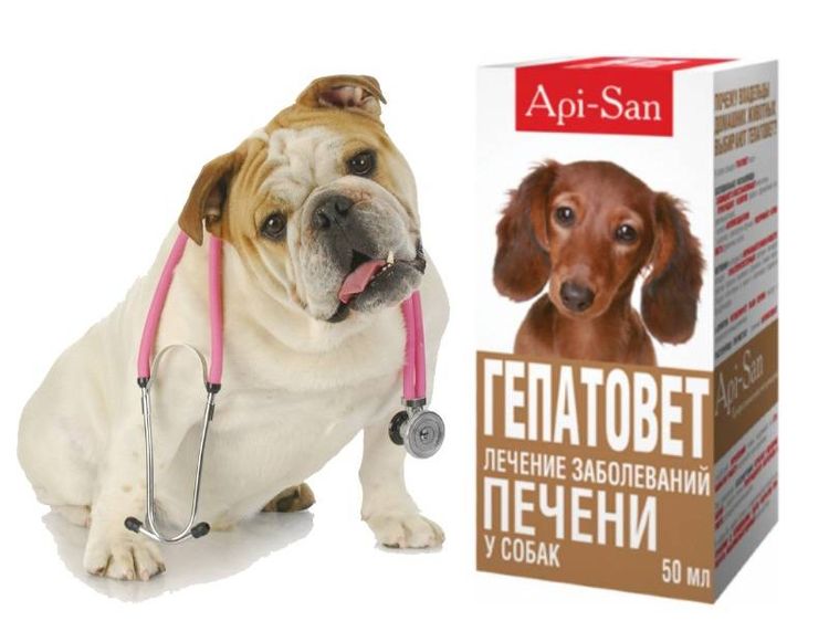 Gepatovet para perros