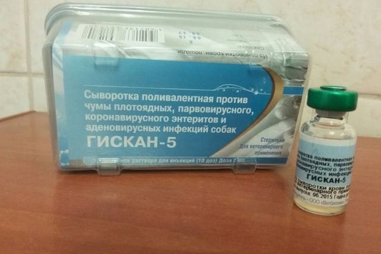 Suero para perros Giskán 5