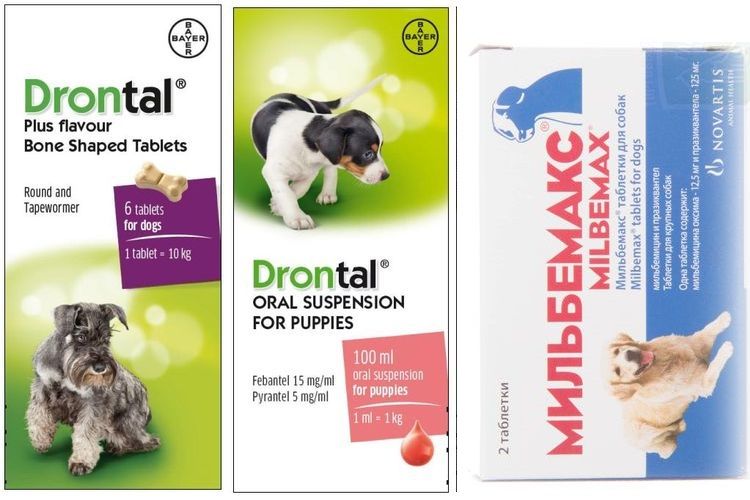 Medicamentos antiparasitarios