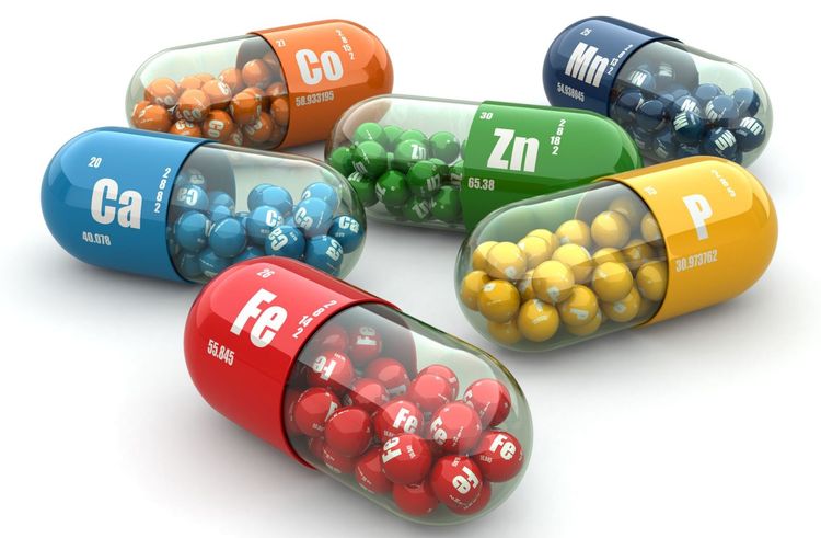 Vitaminas para perros