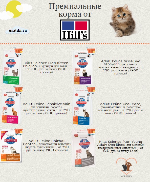 Los mejores piensos Hills para gatos