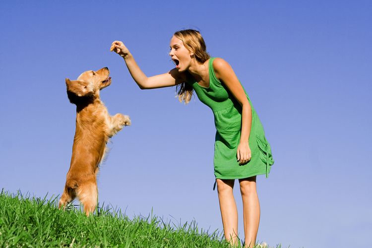 Perro y chica