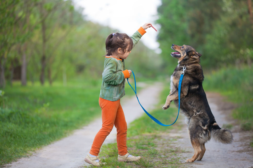 Niño y perro