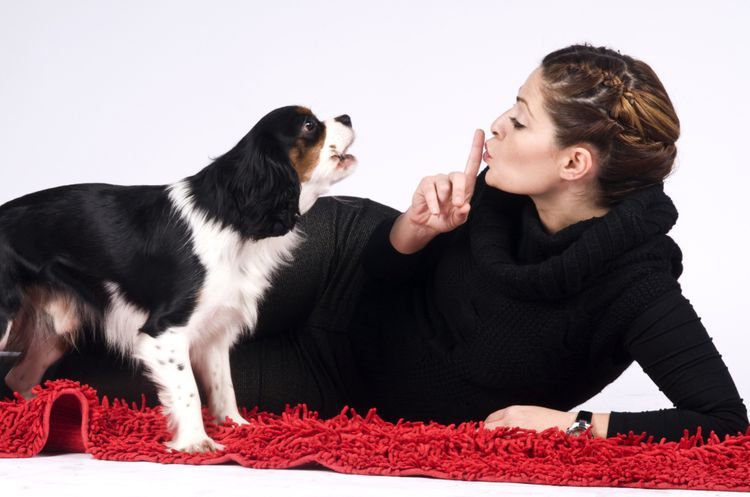 Mujer y su perro