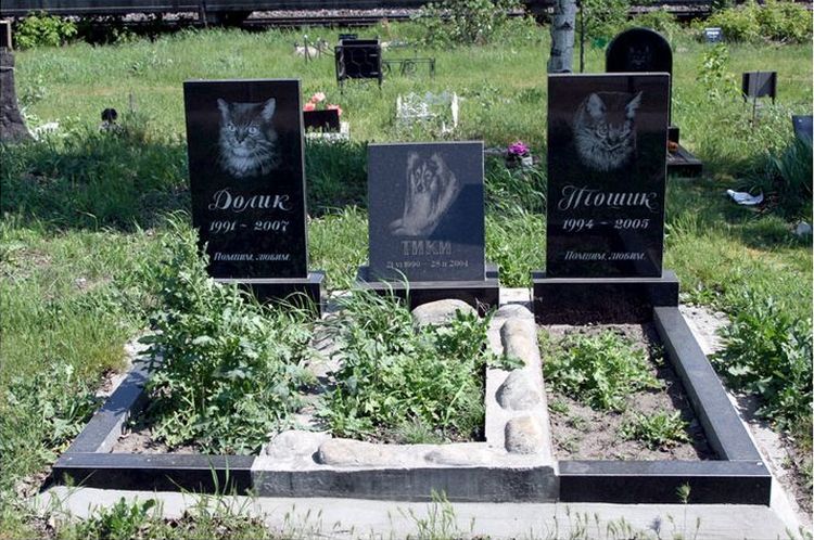 Cementerio de animales