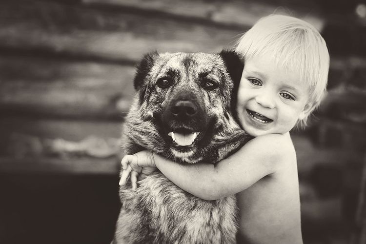 Un niño abraza a un perro