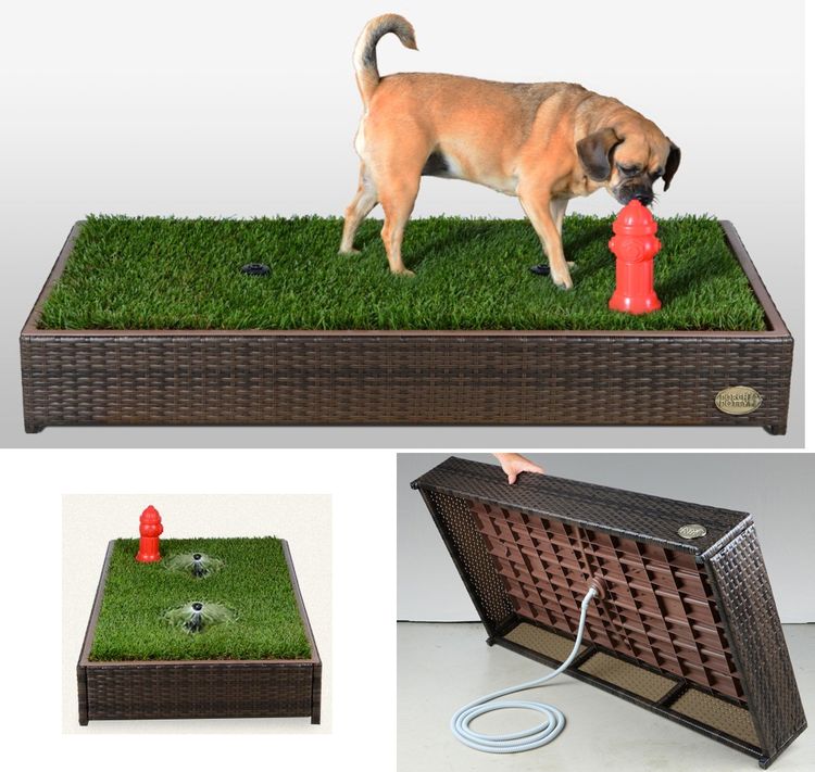 Bandeja para perros con césped natural