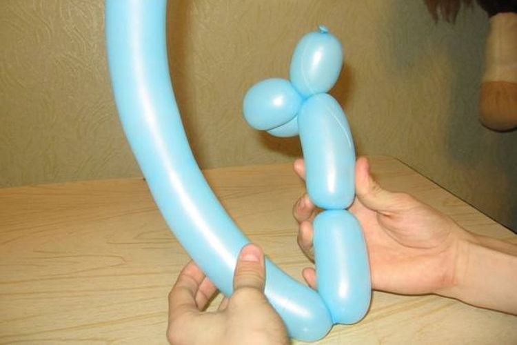 Formación de las patas