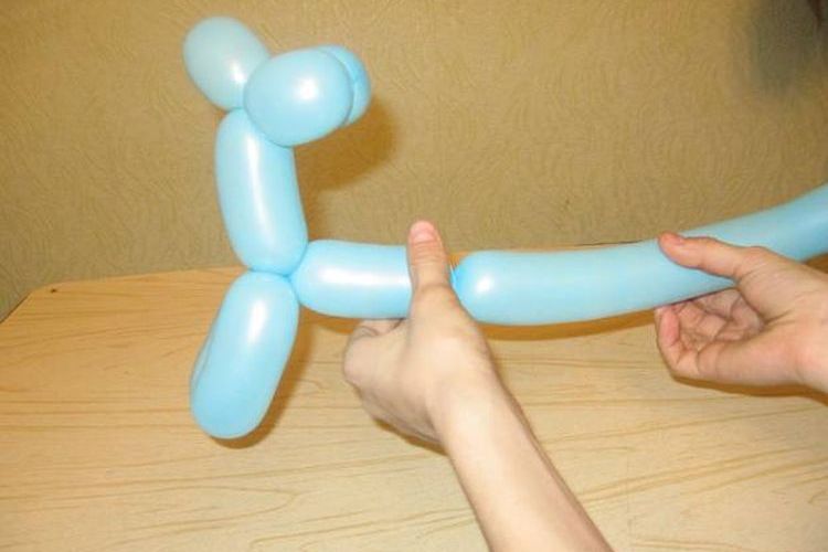 Formación del cuerpo