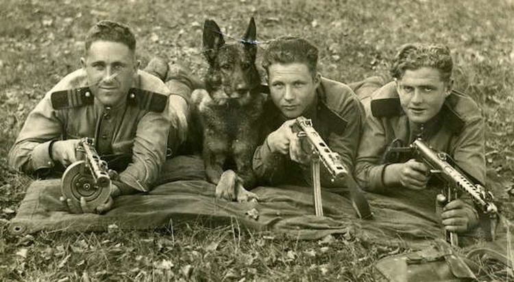 Perros guardianes durante la Segunda Guerra Mundial