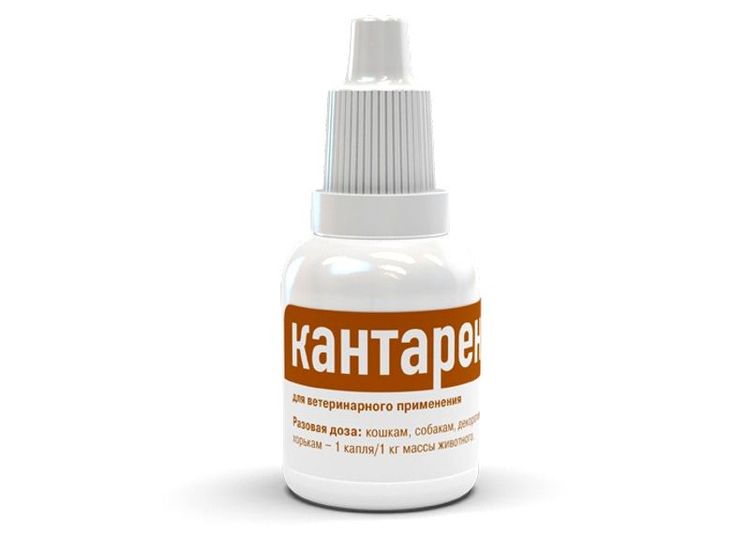 Kantaren-Tropfen für Hunde