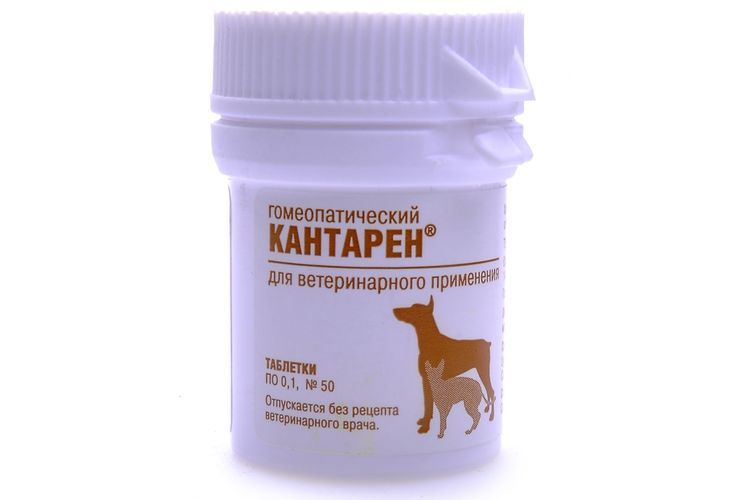 Kantaren Tabletten für Hunde