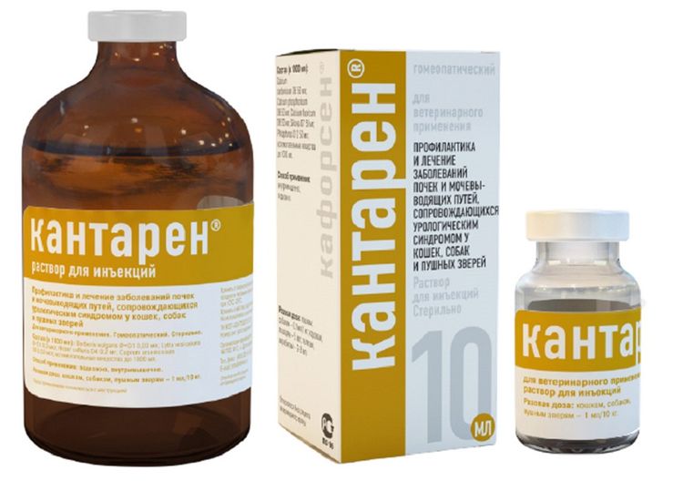 Kantaren für Hunde