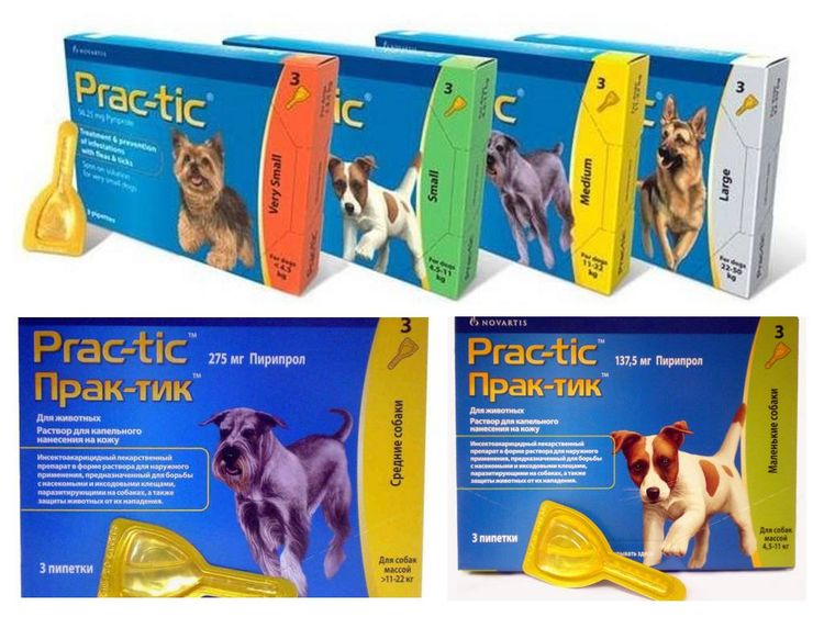 Gotas Practic contra garrapatas para perros